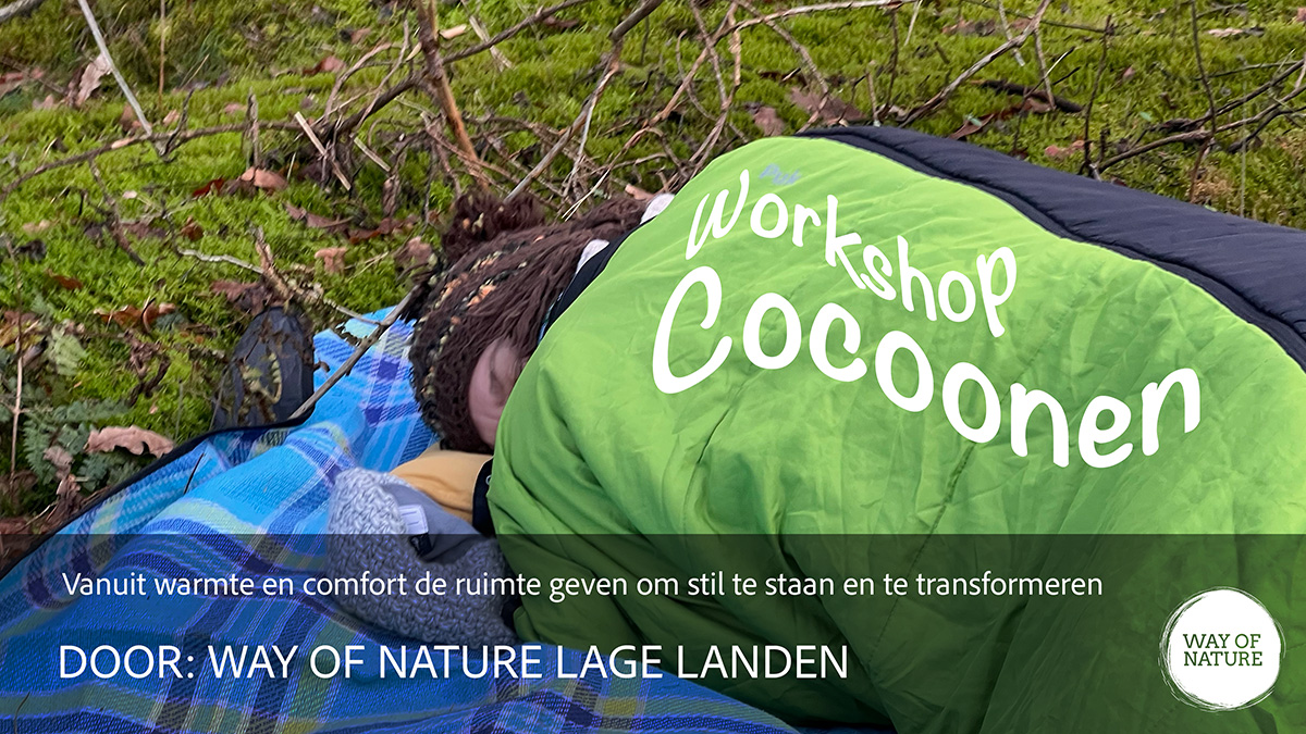 Workshop Cocoonen