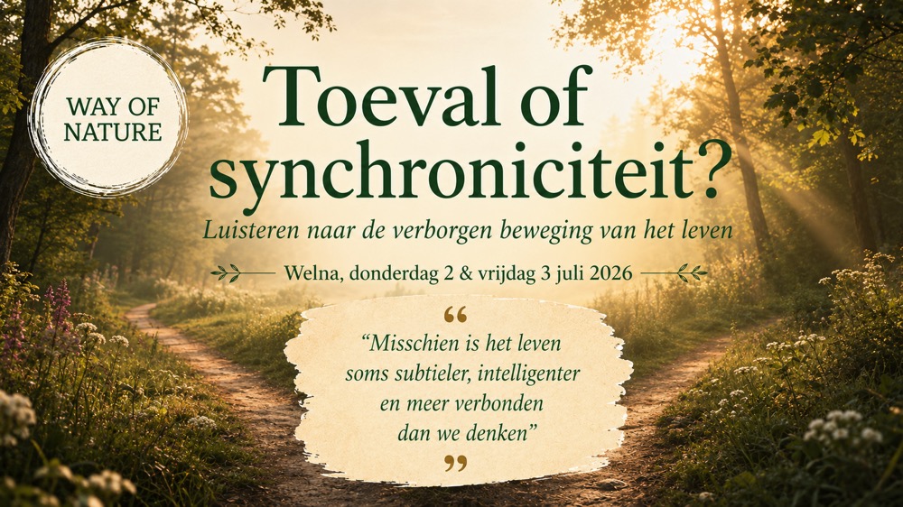 Banner_ToevalOfSynchroniciteit